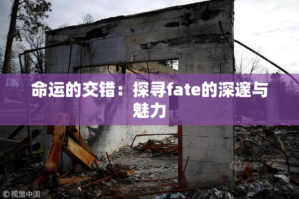 命运的交错：探寻fate的深邃与魅力