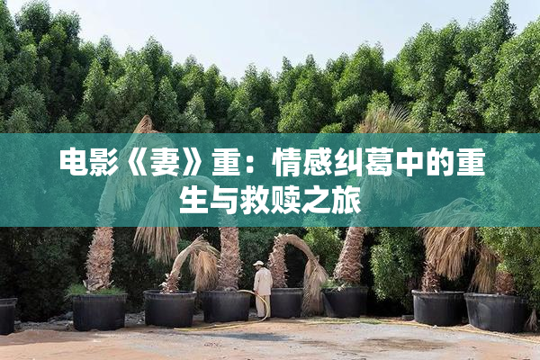 电影《妻》重：情感纠葛中的重生与救赎之旅