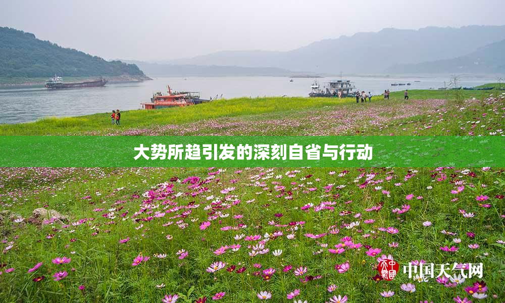 大势所趋引发的深刻自省与行动