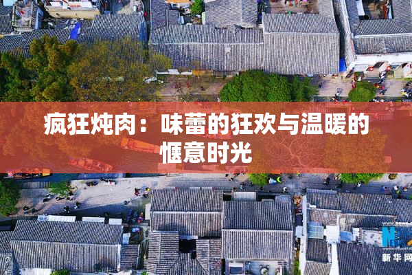 疯狂炖肉：味蕾的狂欢与温暖的惬意时光