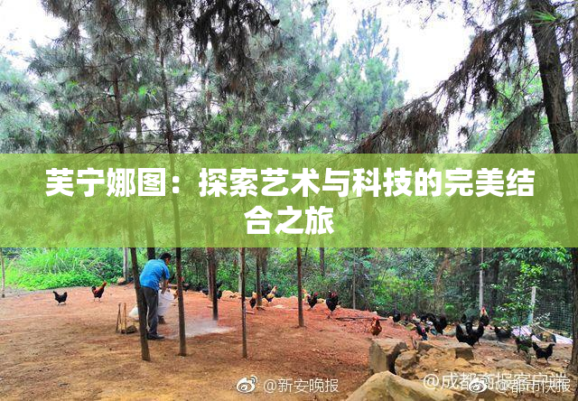 芙宁娜图：探索艺术与科技的完美结合之旅