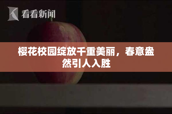 樱花校园绽放千重美丽，春意盎然引人入胜