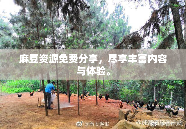 麻豆资源免费分享，尽享丰富内容与体验。