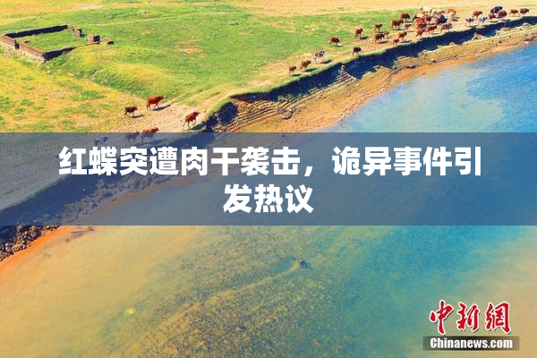 红蝶突遭肉干袭击，诡异事件引发热议