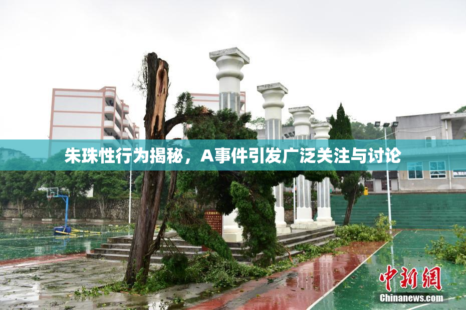 朱珠性行为揭秘，A事件引发广泛关注与讨论