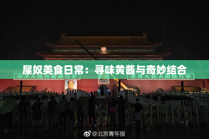 屎奴美食日常：寻味黄酱与奇妙结合