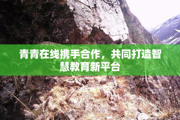 青青在线携手合作，共同打造智慧教育新平台