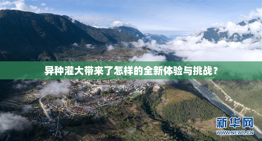 异种灌大带来了怎样的全新体验与挑战？