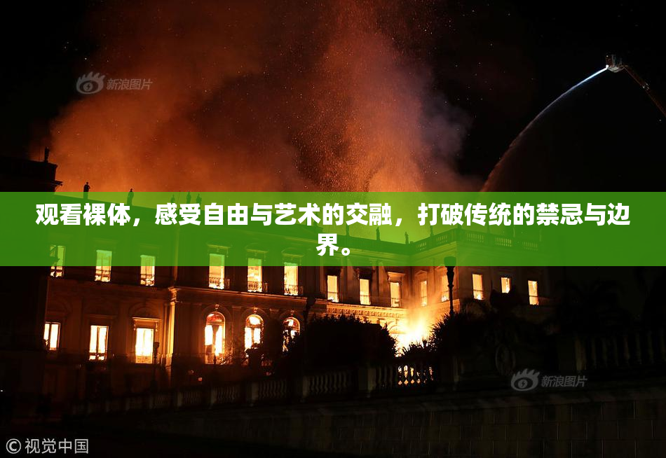 观看裸体，感受自由与艺术的交融，打破传统的禁忌与边界。