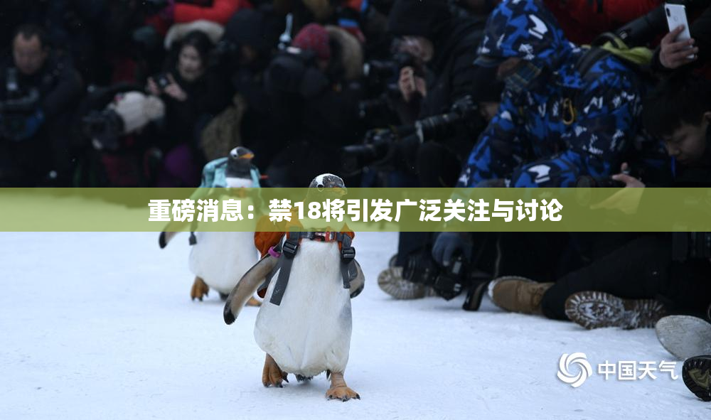 重磅消息：禁18将引发广泛关注与讨论