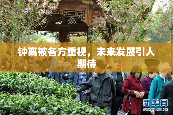 钟离被各方重视，未来发展引人期待
