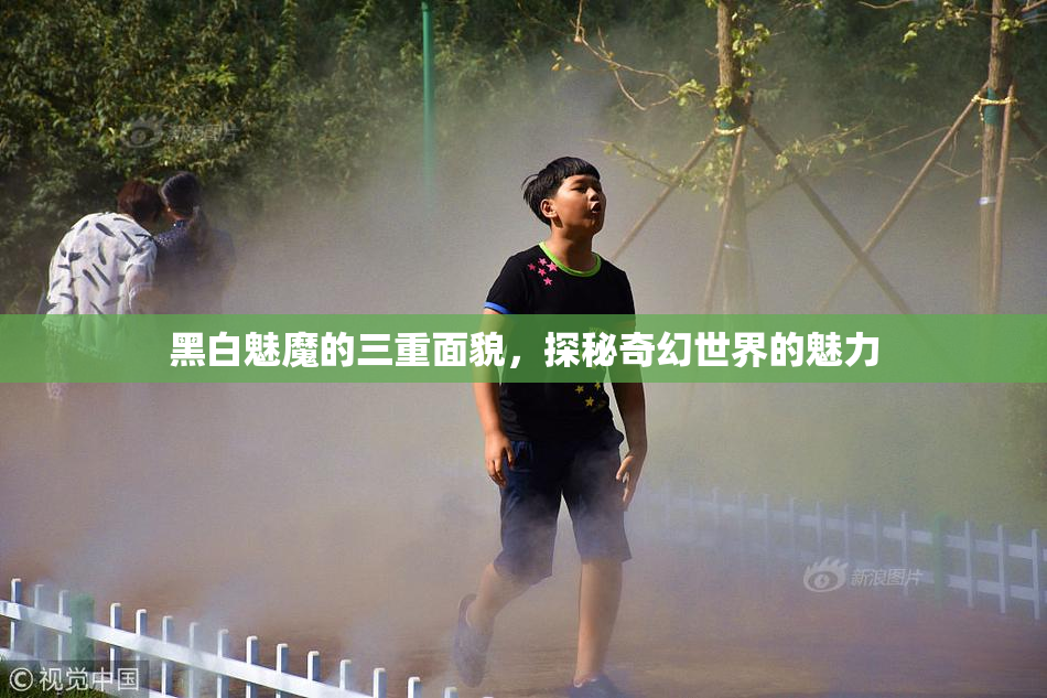黑白魅魔的三重面貌，探秘奇幻世界的魅力