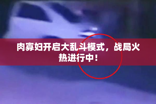 肉寡妇开启大乱斗模式，战局火热进行中！