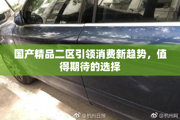 国产精品二区引领消费新趋势，值得期待的选择