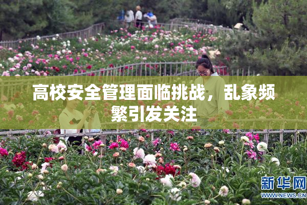 高校安全管理面临挑战，乱象频繁引发关注