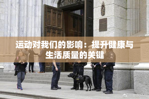 运动对我们的影响：提升健康与生活质量的关键