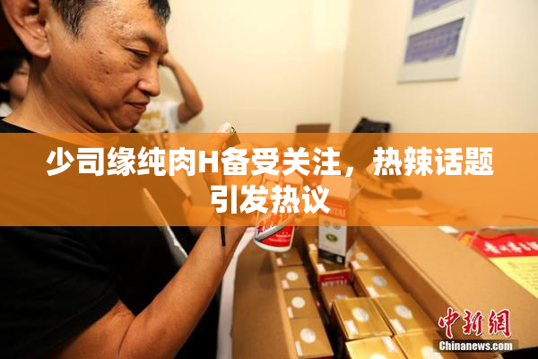 少司缘纯肉H备受关注，热辣话题引发热议