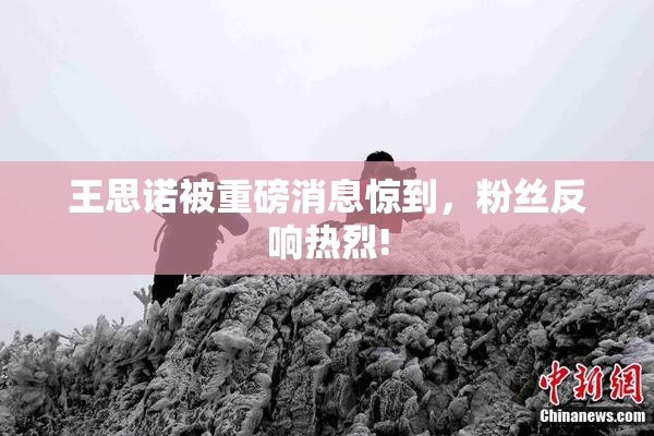 王思诺被重磅消息惊到，粉丝反响热烈!
