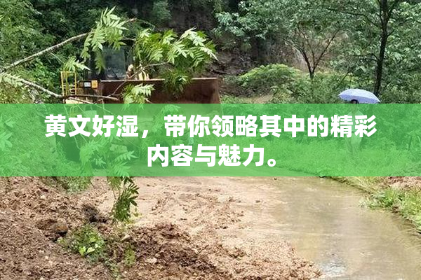 黄文好湿，带你领略其中的精彩内容与魅力。