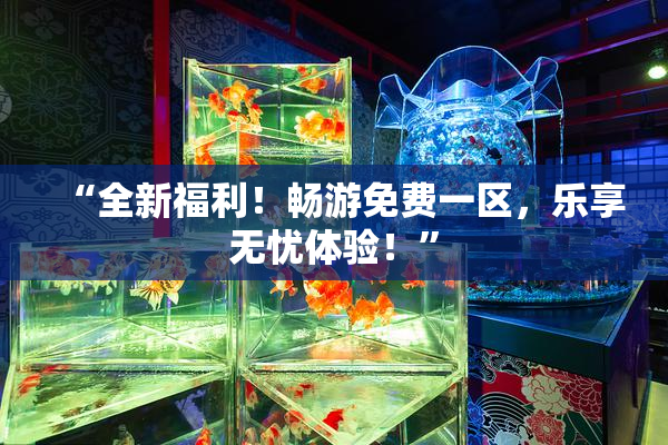 “全新福利！畅游免费一区，乐享无忧体验！”