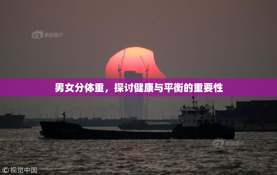 男女分体重，探讨健康与平衡的重要性