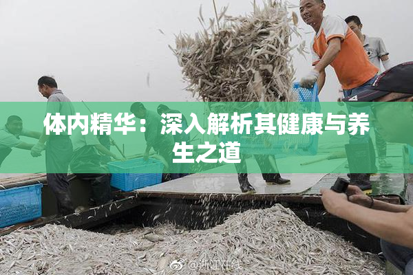 体内精华：深入解析其健康与养生之道