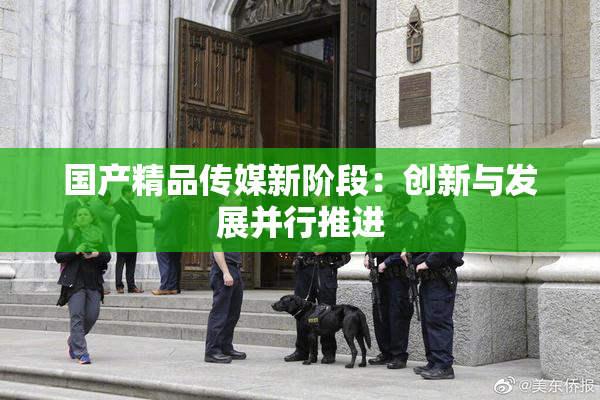 国产精品传媒新阶段：创新与发展并行推进