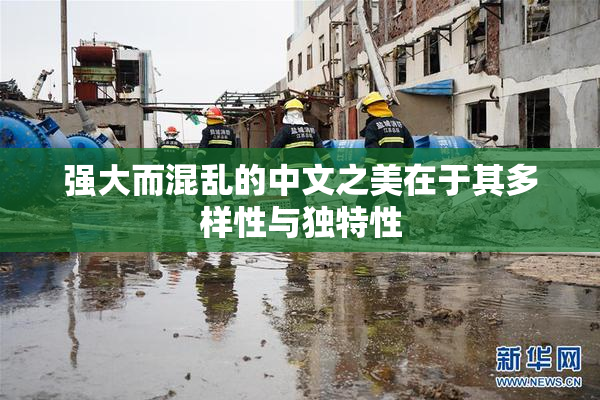 强大而混乱的中文之美在于其多样性与独特性