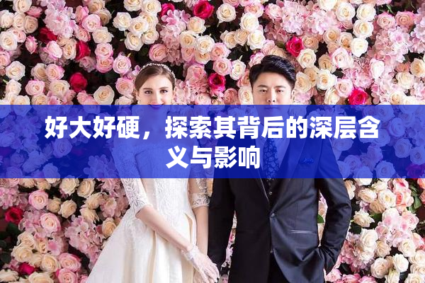 好大好硬，探索其背后的深层含义与影响