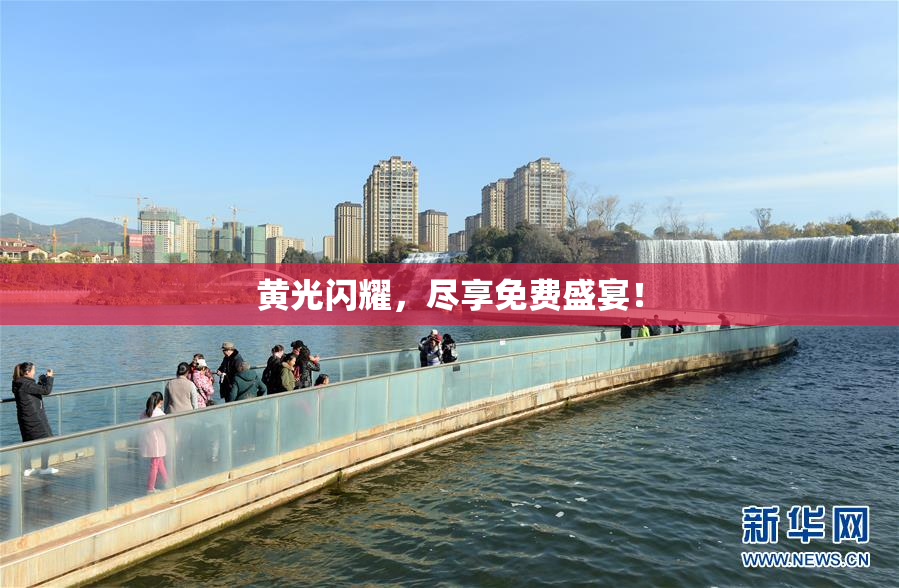 黄光闪耀，尽享免费盛宴！
