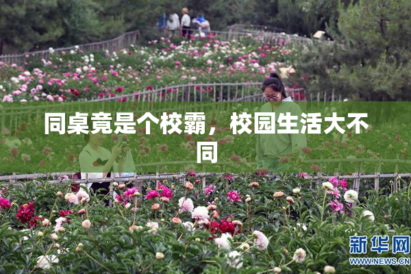 同桌竟是个校霸，校园生活大不同