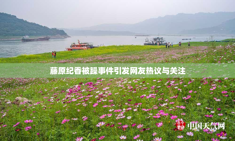 藤原纪香被躁事件引发网友热议与关注
