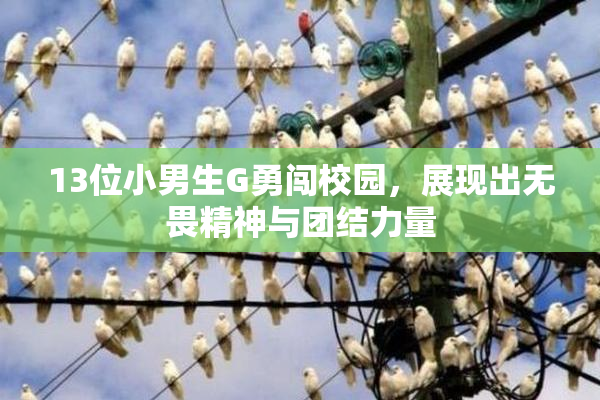 13位小男生G勇闯校园，展现出无畏精神与团结力量