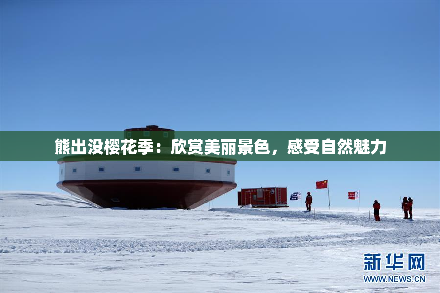 熊出没樱花季：欣赏美丽景色，感受自然魅力