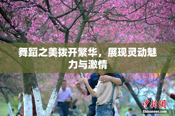 舞蹈之美拨开繁华，展现灵动魅力与激情