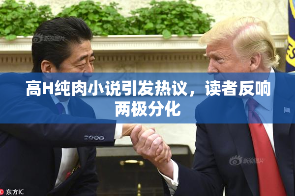 高H纯肉小说引发热议，读者反响两极分化