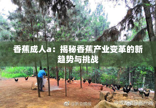香蕉成人a：揭秘香蕉产业变革的新趋势与挑战