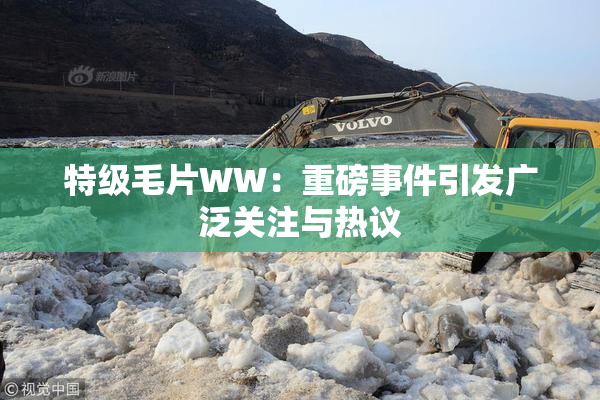 特级毛片WW：重磅事件引发广泛关注与热议