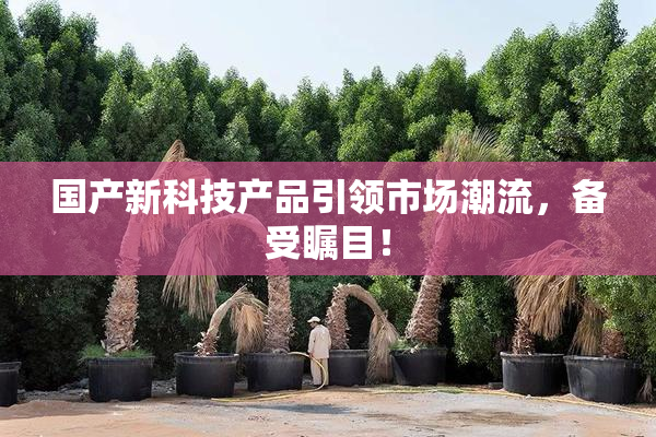 国产新科技产品引领市场潮流，备受瞩目！