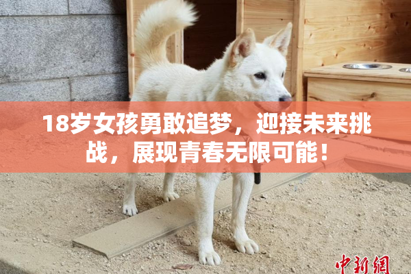 18岁女孩勇敢追梦，迎接未来挑战，展现青春无限可能！