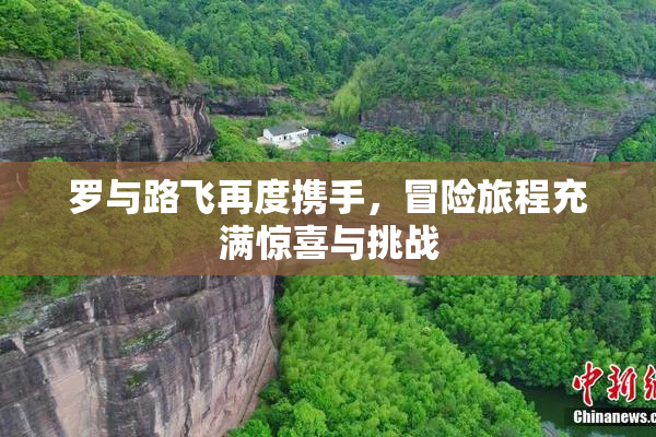 罗与路飞再度携手，冒险旅程充满惊喜与挑战
