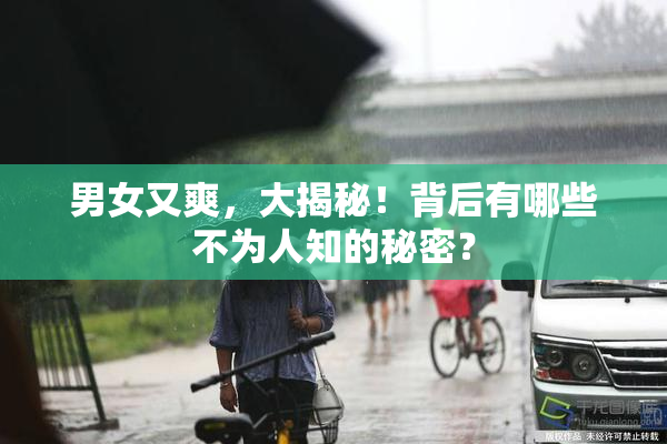 男女又爽，大揭秘！背后有哪些不为人知的秘密？