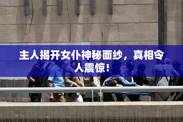 主人揭开女仆神秘面纱，真相令人震惊！