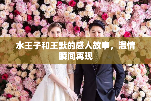 水王子和王默的感人故事，温情瞬间再现