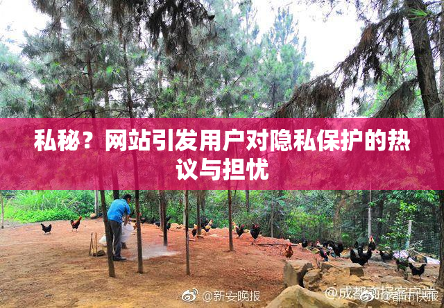 私秘？网站引发用户对隐私保护的热议与担忧