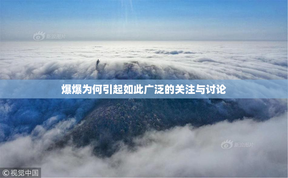 爆爆为何引起如此广泛的关注与讨论