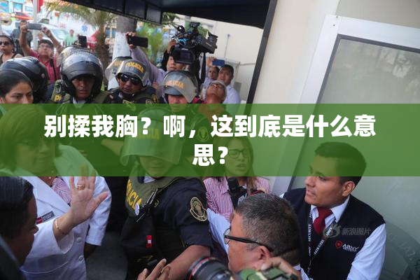 别揉我胸？啊，这到底是什么意思？