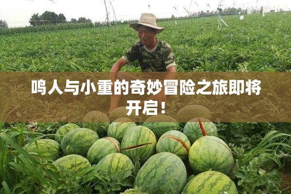 鸣人与小重的奇妙冒险之旅即将开启！