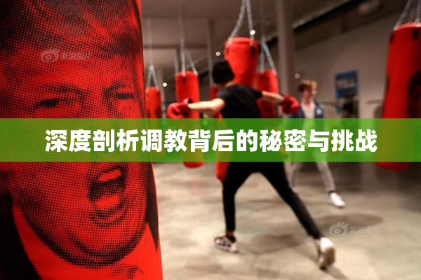 深度剖析调教背后的秘密与挑战