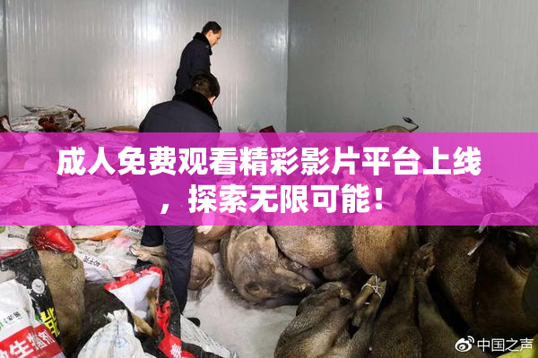成人免费观看精彩影片平台上线，探索无限可能！